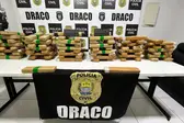 Foto: Divulgação/SSPPI (Foto: )