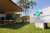 Divulgação  (Foto: G1 )