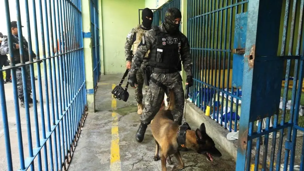 Divulgação / Sejus