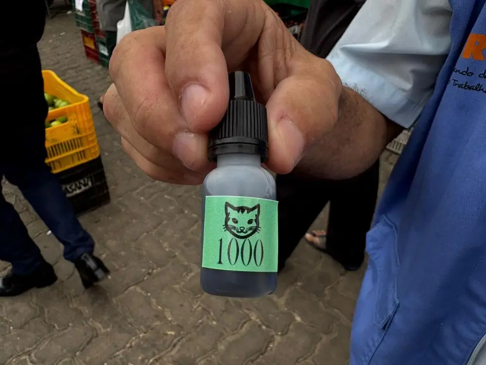 Divulgação / FMS
