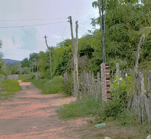 Foto: Divulgação/MPPI