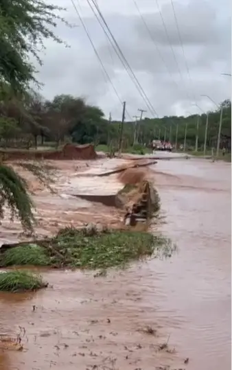 Foto: Reprodução/Riachao net