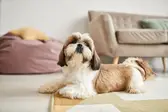Foto: Imagem Ilustrativa/iStock (Foto: )