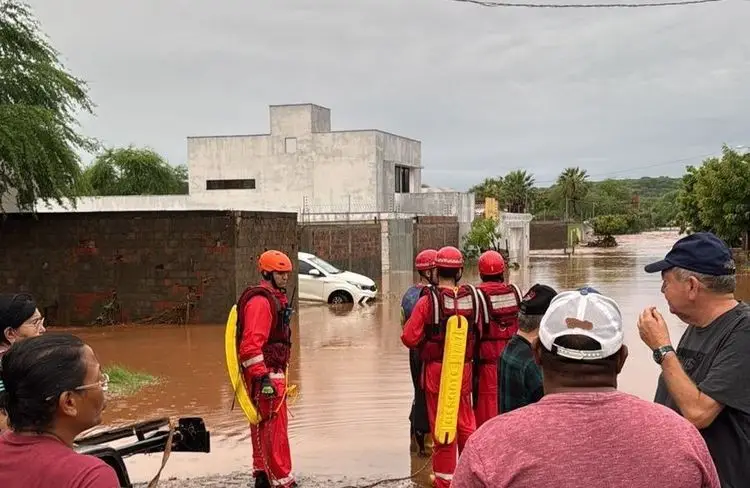 Foto: Reprodução