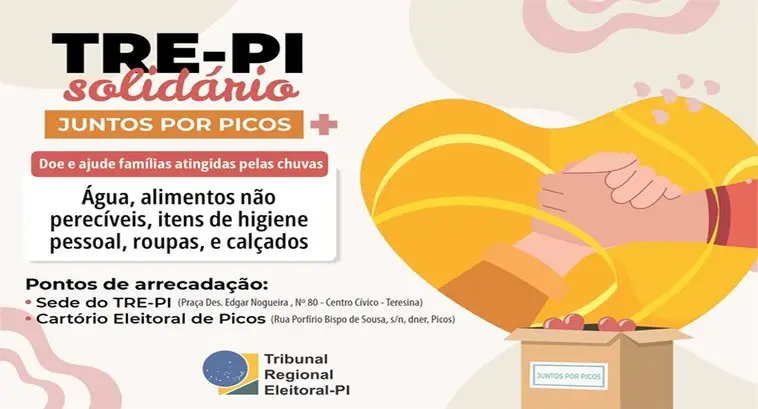 Divulgação: Breno Brito - Gráfica/TRE-PI