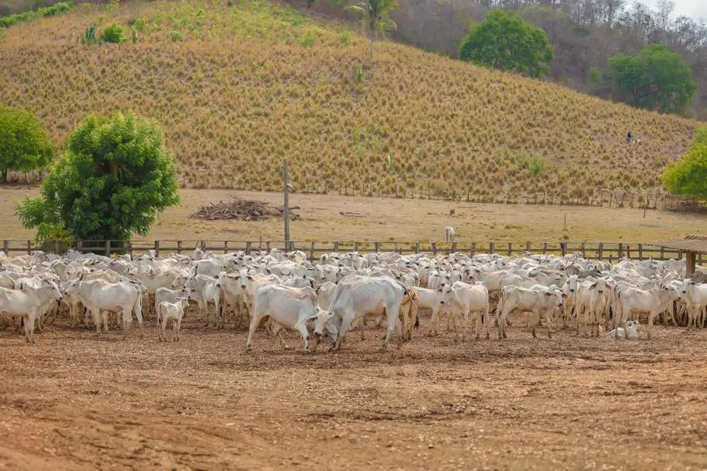 Foto: Divulgação/Governo do Estado