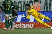 Foto: Rodrigo Coca/Agência Corinthians (Foto: Agência Brasil)