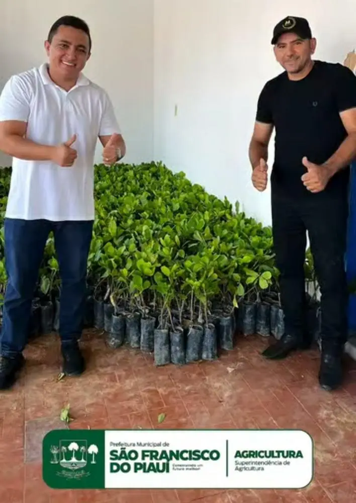 Foto: Reprodução/ Redes Sociais