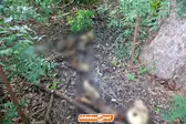 Foto: Cidades na Net (Foto: *Com informações do Cidades na Net)