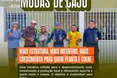 Foto: Reprodução/ Redes Sociais (Foto: )