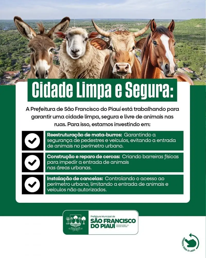 Foto: Reprodução/ Redes Sociais