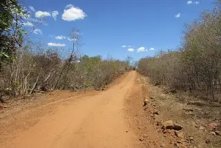 Estrada
