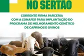 Foto: Divulgação (Foto: )