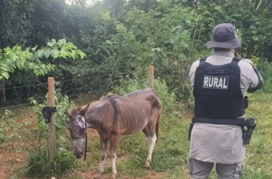 Foto: Reprodução/Redes Sociais