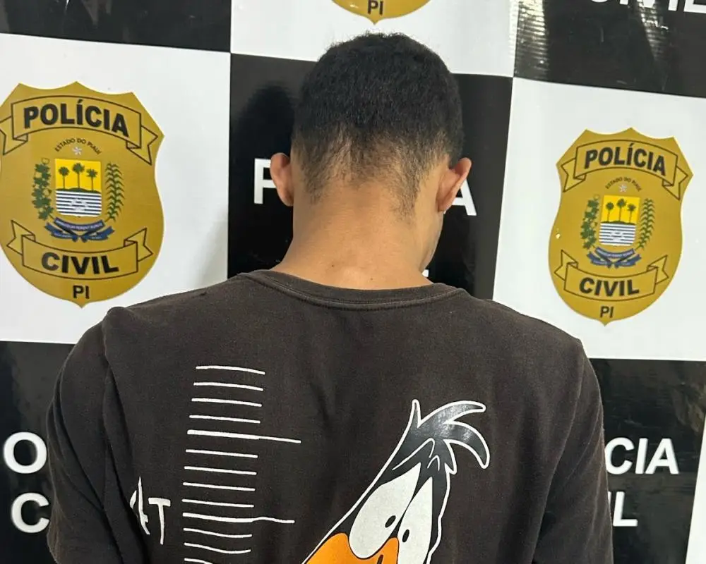Foto: Divulgação/PC-PI
