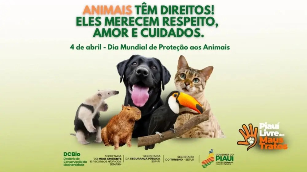 Foto: Divulgação/Governo do Estado