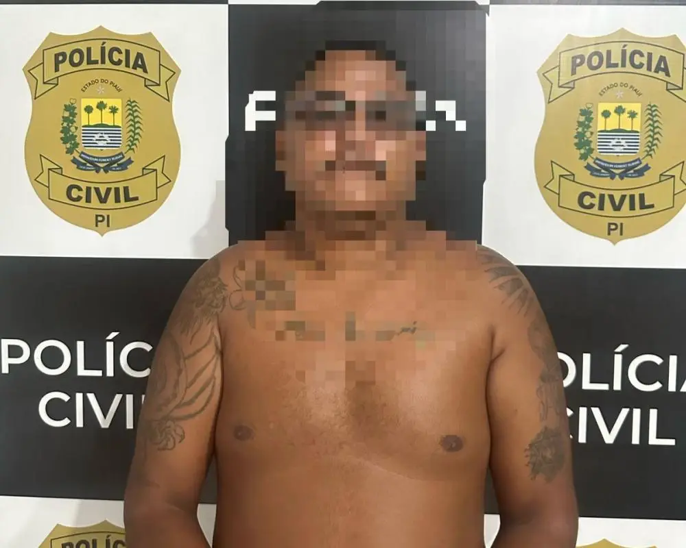 Foto: Divulgação/PC-PI