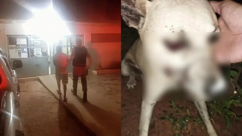 Foto: Reprodução