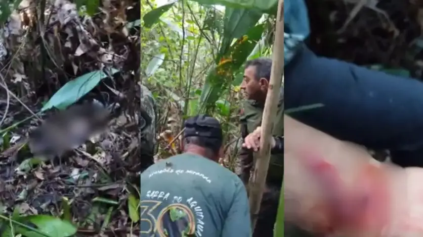 Momento em que equipe conseguiu afastar onça do corpo e o punho do voluntário ferido - (Fotos: Fala Povo, Jornal Midiamax)