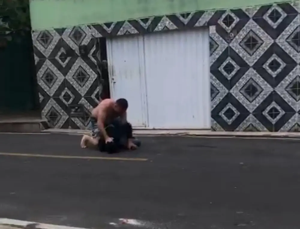 Reprodução