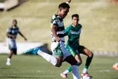 @samukaforos_ (Foto: )