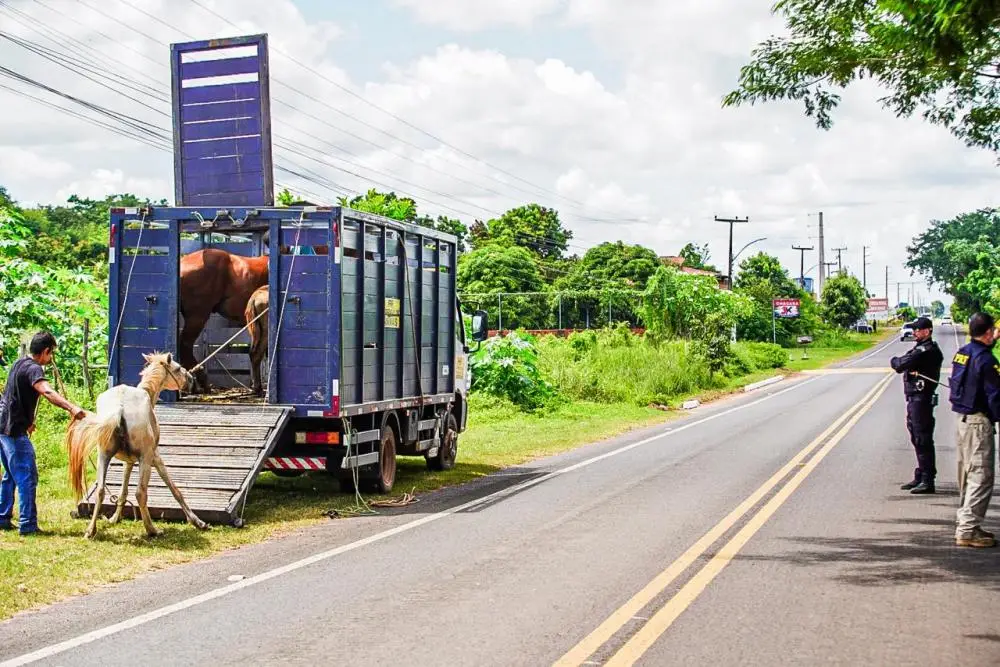 Foto: Divulgação/SSP
