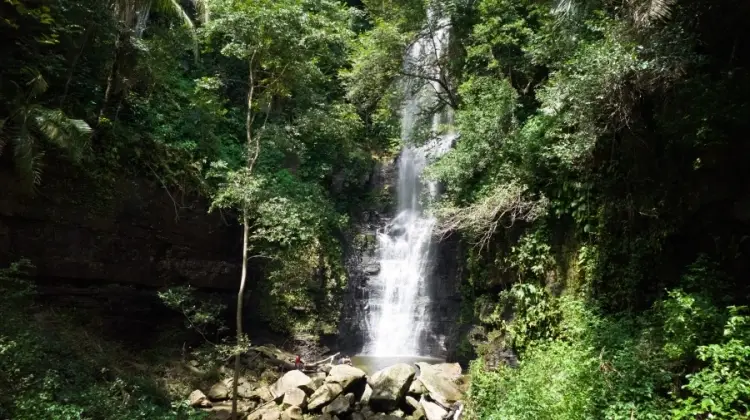 Foto: Divulgação/Prefeitura