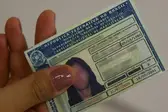 Foto: Divulgação/Governo do Estado  (Foto: Governo do Estado )