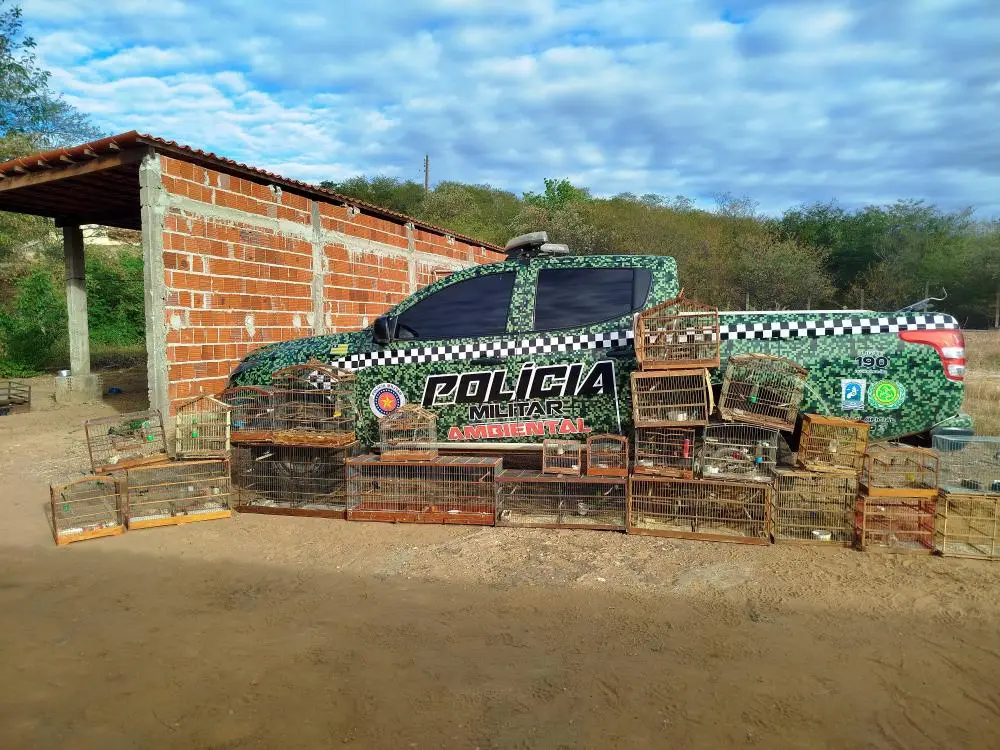 Foto: Divulgação/SSP