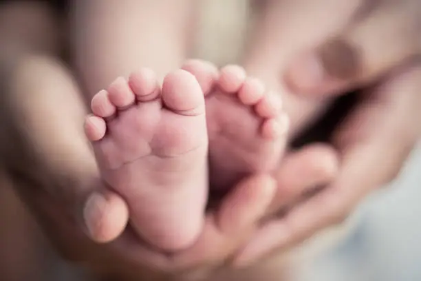 Foto: istock
