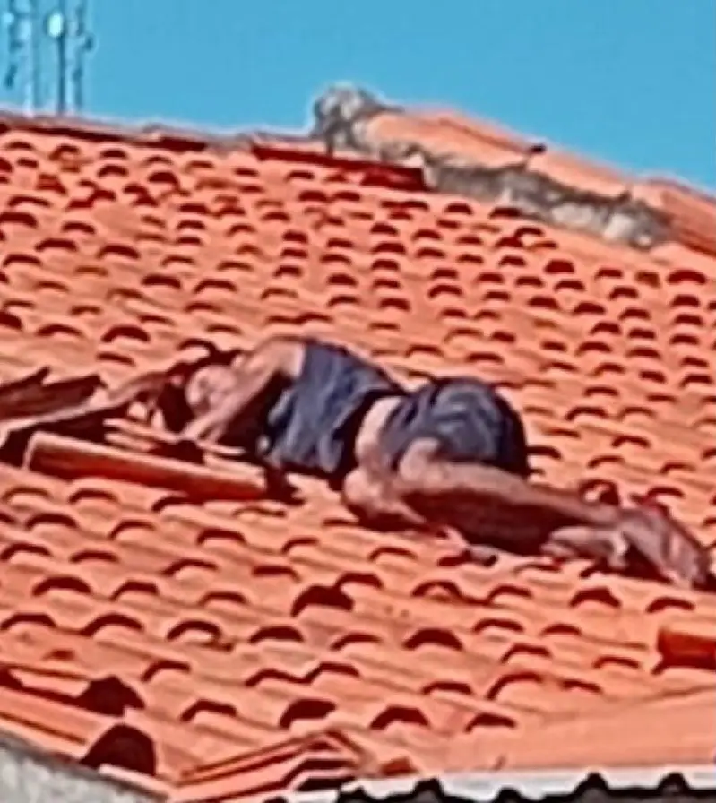 Foto: Reprodução