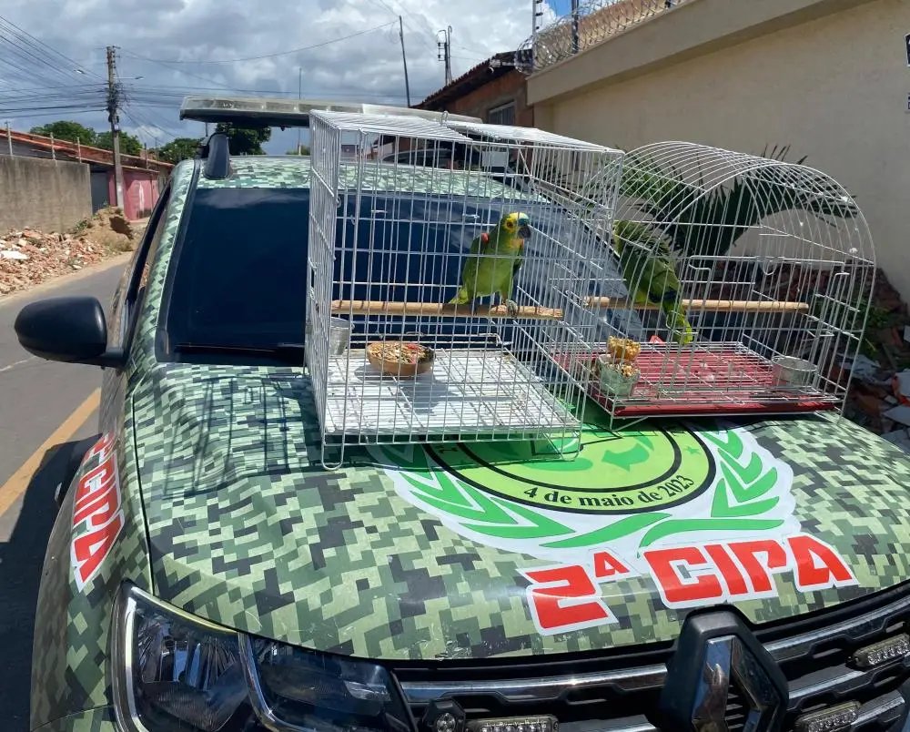 Foto: Divulgação