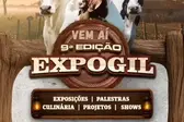 Foto: Reprodução (Foto: )