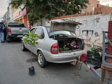 Divulgação / Ccom