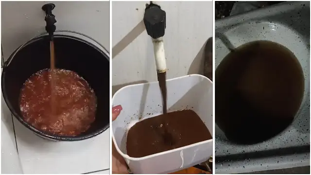 Portal do Rurik