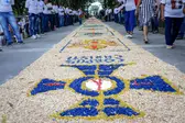 Foto: Divulgação/PMT (Foto: )