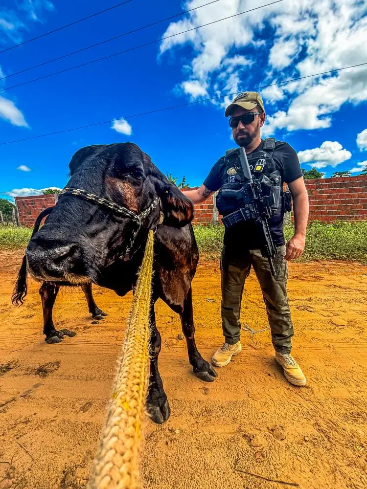 Divulgação / SSP