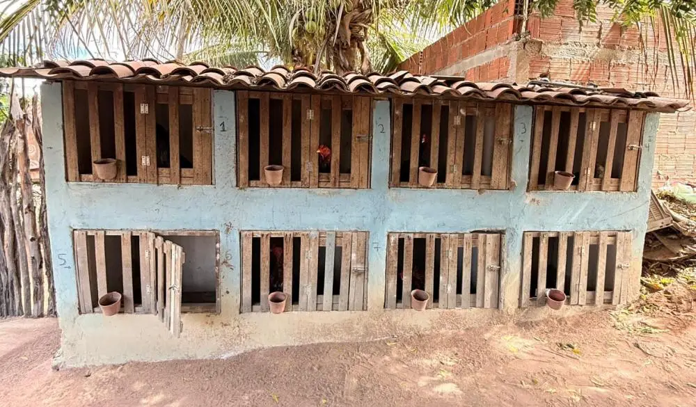 Foto: Divulgação/SSP