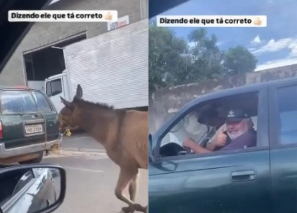Foto: Reprodução/Redes Sociais