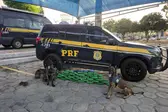 Foto: Divulgação/PRF-PI (Foto: )