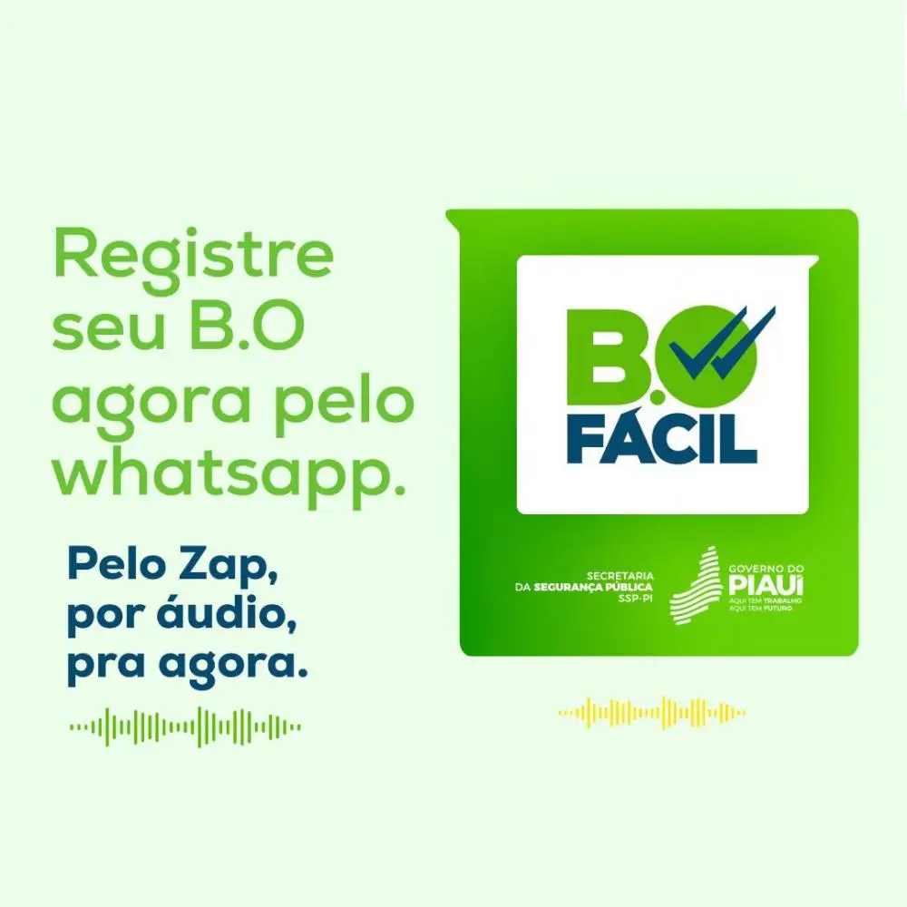 Foto: Divulgação/Gov-PI