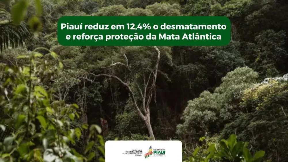 Foto: Divulgação/Gov-PI