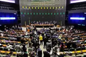 Foto: Jonas Pereira/Agência Senado (Foto: )