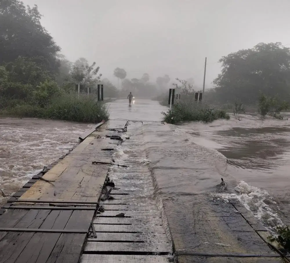 Foto: Reprodução/Portal Brasileira