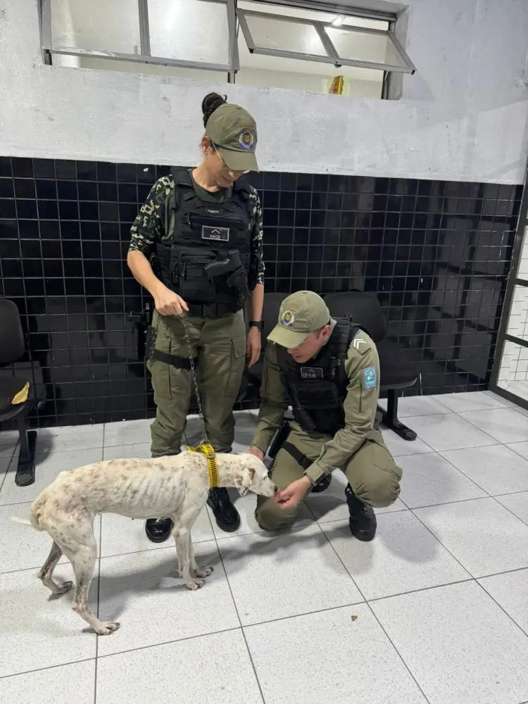 Divulgação / SSP