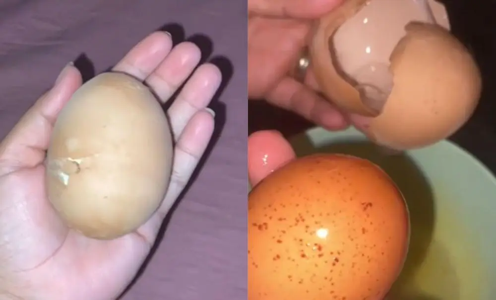 Foto: Reprodução/Redes Sociais