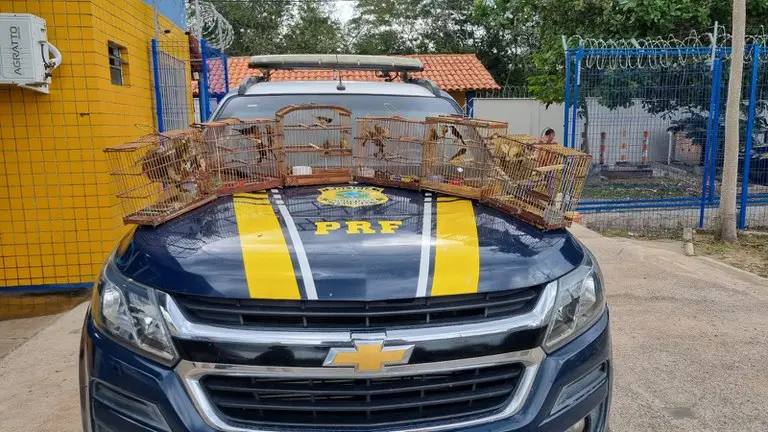 Foto: Divulgação/PRF