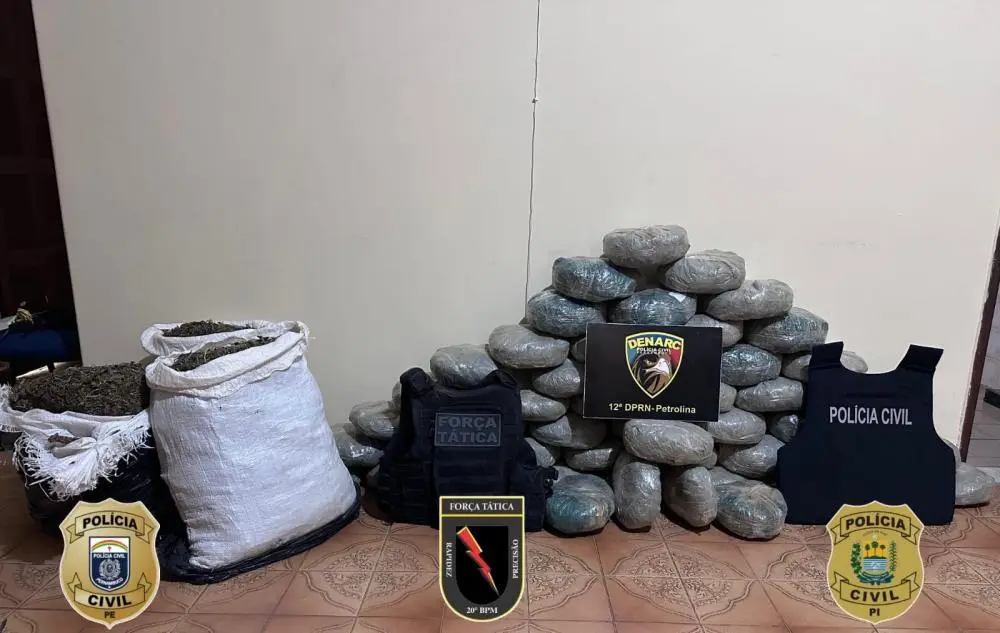 Foto: Divulgação/ PM-PI