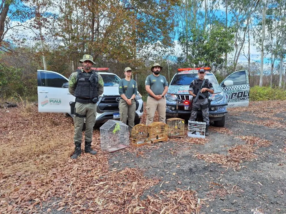 Foto: Divulgação/Gov-PI
