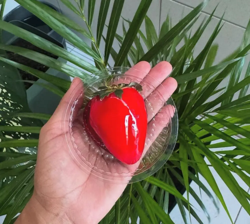 Reprodução / Instagram 